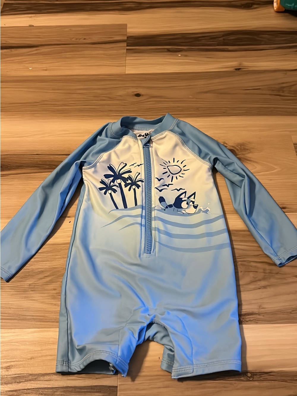 Old Navy Light Blue Long-Sleeve Kids Rash Guard Swimsuit with Palm Print